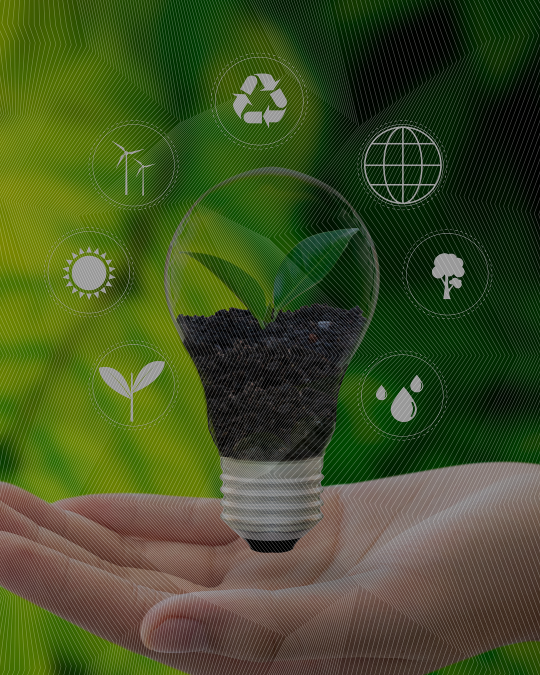 Imagen de Encuesta de condiciones de Vida